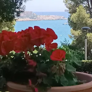 & Flowers Free Parking Salou